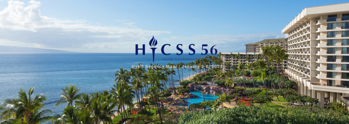 Participation at HICSS 2023